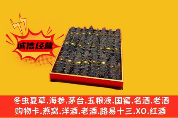 曲麻莱县回收海参